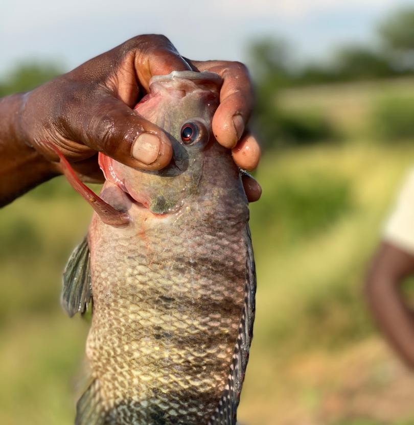 Family enjoying agro-tourism