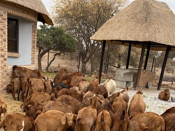 Farm-to-table kitchen